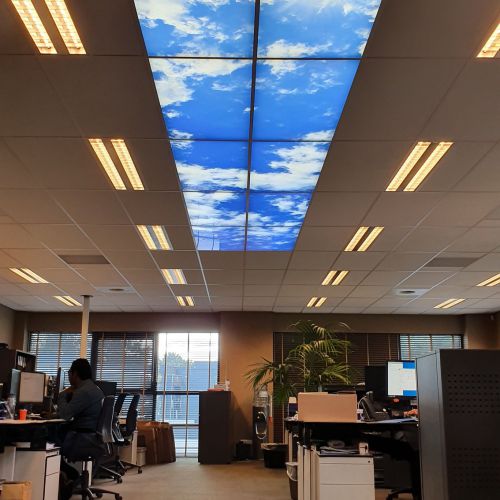 Panneau LED S&L, Nuages de lumière du jour avec des arbres au plafond, cabinet